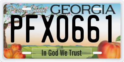 GA license plate PFX0661