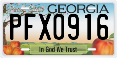 GA license plate PFX0916