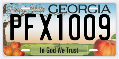 GA license plate PFX1009