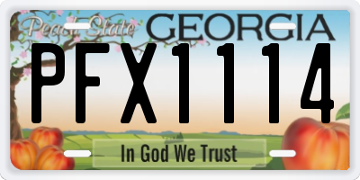 GA license plate PFX1114