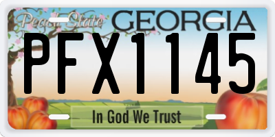 GA license plate PFX1145