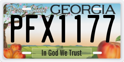 GA license plate PFX1177