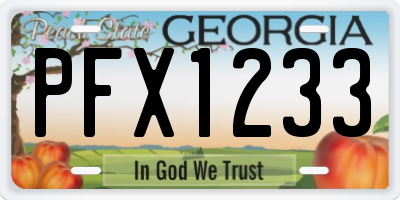 GA license plate PFX1233