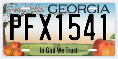GA license plate PFX1541