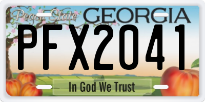 GA license plate PFX2041