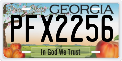 GA license plate PFX2256