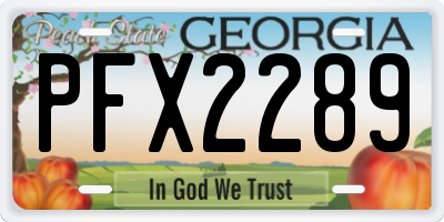 GA license plate PFX2289