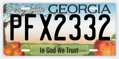 GA license plate PFX2332