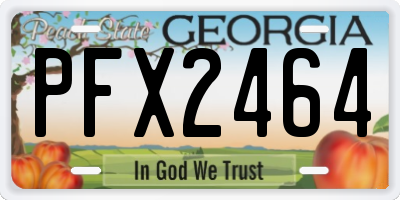 GA license plate PFX2464