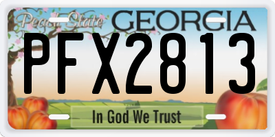 GA license plate PFX2813