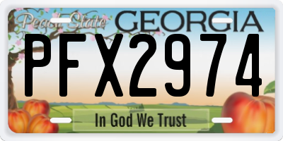 GA license plate PFX2974
