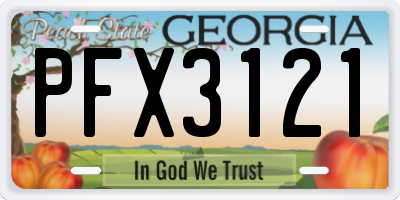 GA license plate PFX3121