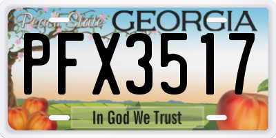 GA license plate PFX3517