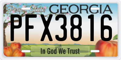 GA license plate PFX3816