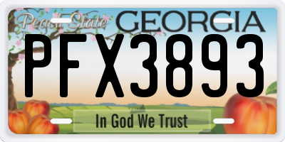 GA license plate PFX3893