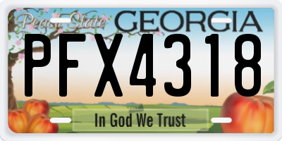 GA license plate PFX4318