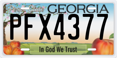 GA license plate PFX4377