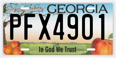 GA license plate PFX4901