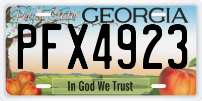 GA license plate PFX4923