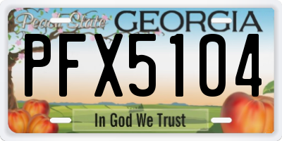 GA license plate PFX5104
