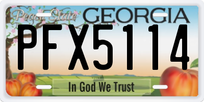 GA license plate PFX5114