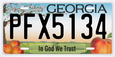 GA license plate PFX5134