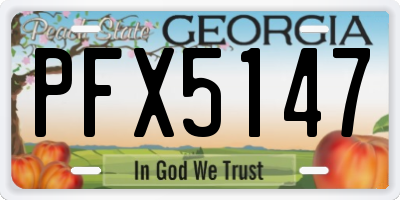 GA license plate PFX5147