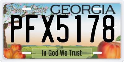 GA license plate PFX5178