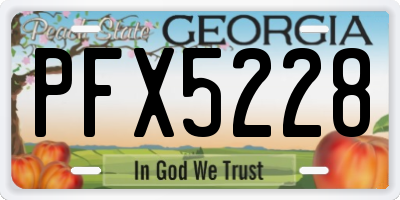 GA license plate PFX5228