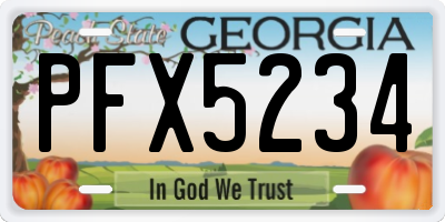 GA license plate PFX5234