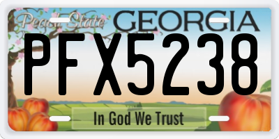 GA license plate PFX5238