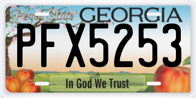 GA license plate PFX5253