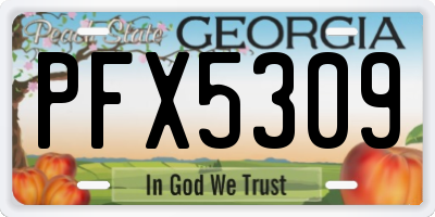GA license plate PFX5309