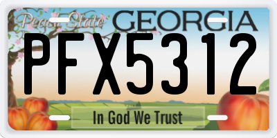 GA license plate PFX5312