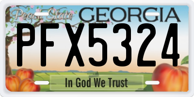 GA license plate PFX5324
