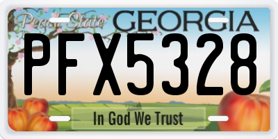 GA license plate PFX5328