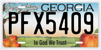 GA license plate PFX5409