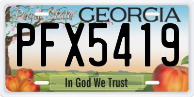 GA license plate PFX5419
