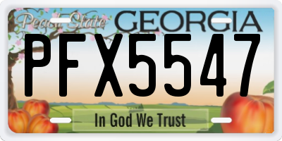 GA license plate PFX5547