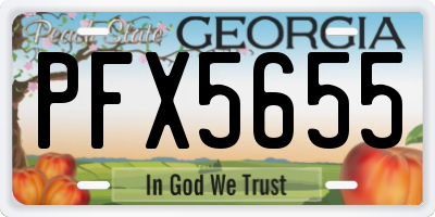 GA license plate PFX5655