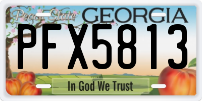 GA license plate PFX5813