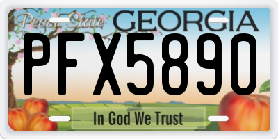 GA license plate PFX5890
