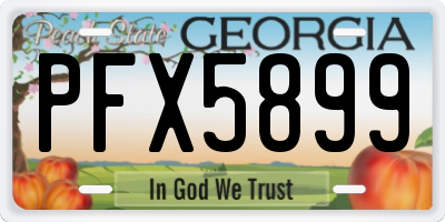 GA license plate PFX5899