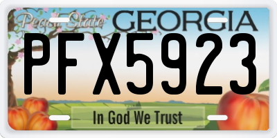 GA license plate PFX5923
