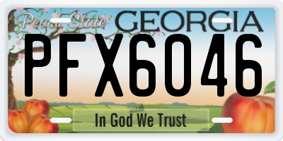 GA license plate PFX6046