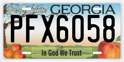 GA license plate PFX6058