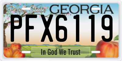 GA license plate PFX6119