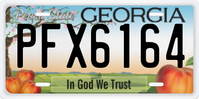 GA license plate PFX6164