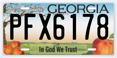GA license plate PFX6178