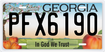GA license plate PFX6190